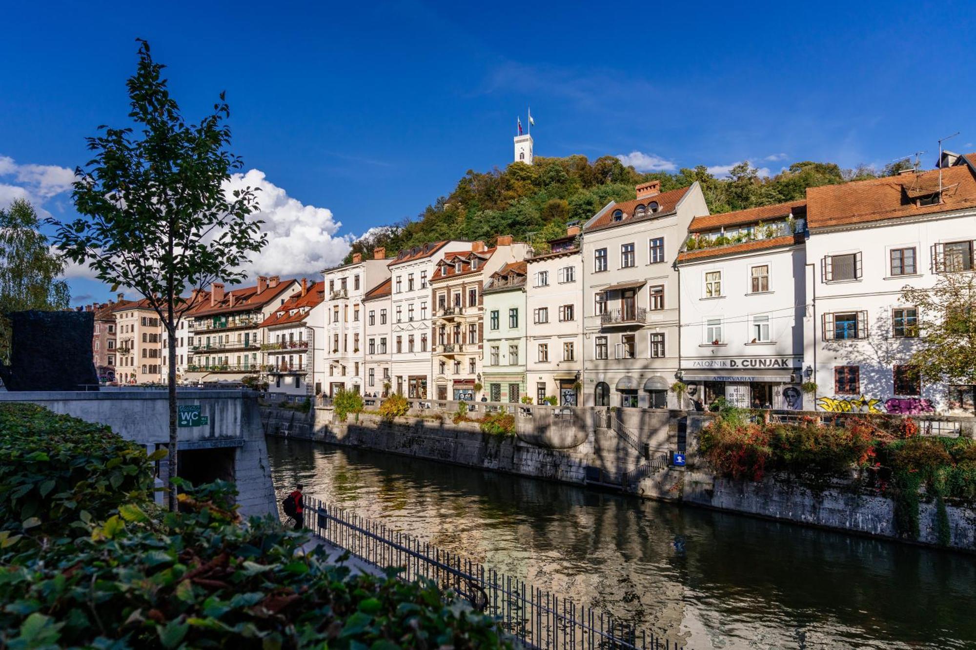 Ella'S Castle View Apartment Любляна Екстериор снимка